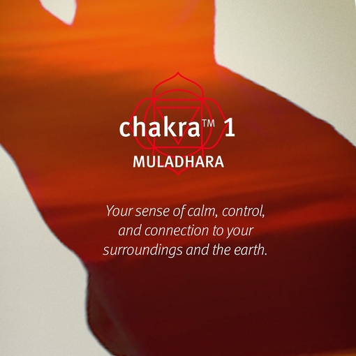 Product Chakra™ 1 Balancing Pure-Fume™ Mist Feel Grounded 100ml base image