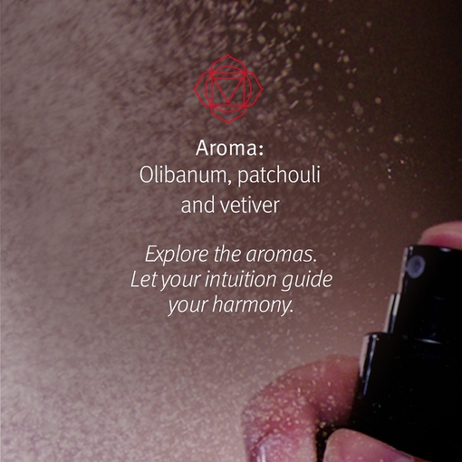 Product Chakra™ 1 Balancing Pure-Fume™ Mist Feel Grounded 100ml base image