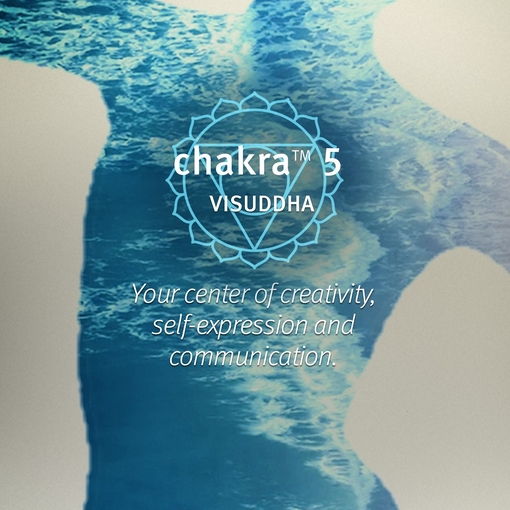Product Chakra™ 5 Balancing Pure-Fume™ Mist Feel Expressive 100ml base image