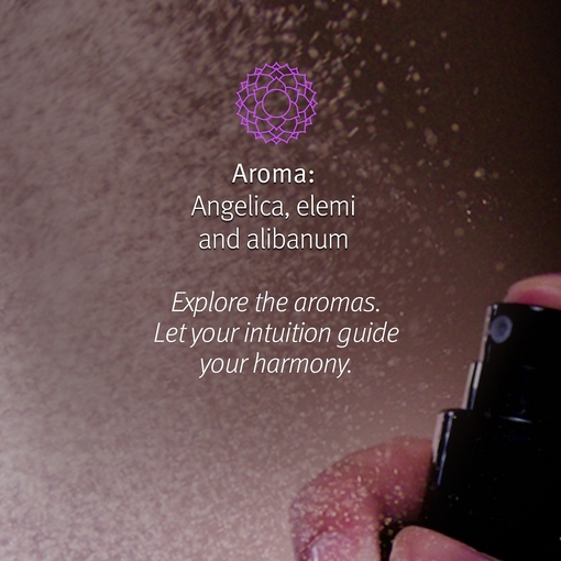 Product Chakra™ 7 Balancing Pure-Fume™ Mist Feel Wisdom 100ml base image