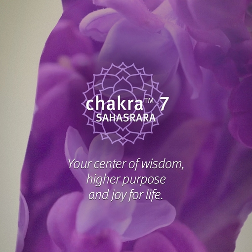 Product Chakra™ 7 Balancing Pure-Fume™ Mist Feel Wisdom 100ml base image