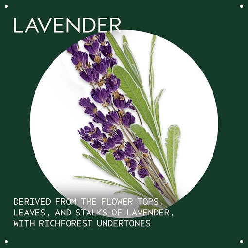 Product Lavender Essential Oil + Base For Body & Bath 30ml base image