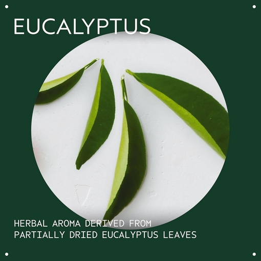 Product Eucalyptus Essential Oil + Base For Body & Bath 30ml base image
