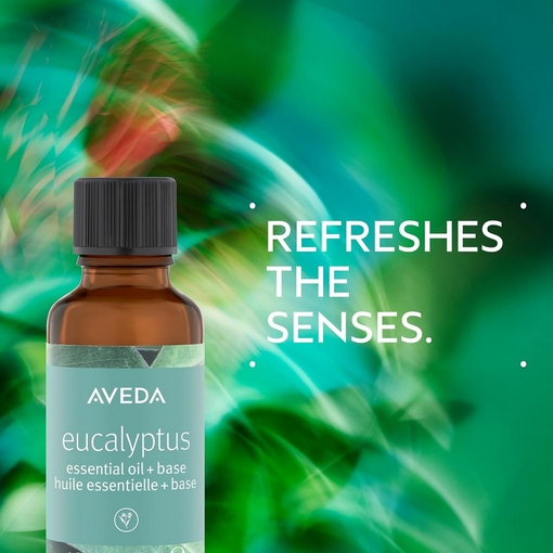 Product Eucalyptus Essential Oil + Base For Body & Bath 30ml base image