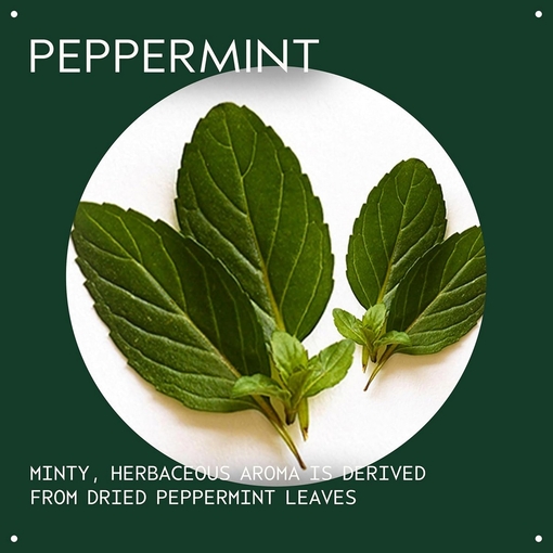 Product Peppermint Essential Oil + Base For Body & Bath 30ml base image