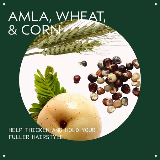 Product Thickening Tonic 100ml base image