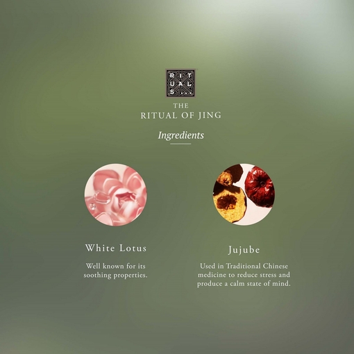 Product The Ritual Of Jing Shampoo 300ml base image