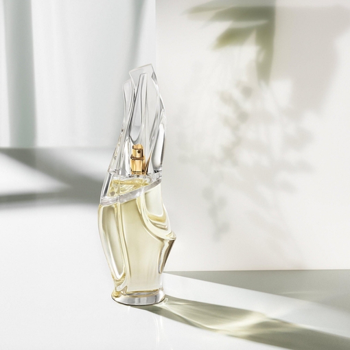 Product Cashmere Mist Eau De Parfum 50ml base image