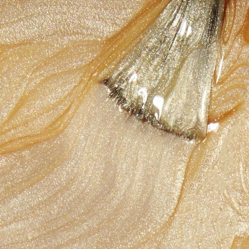 Product OPI Infinite Enter the Golden Era 15ml Enter The Golden Era base image