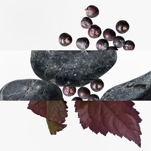 Product Eau Des Merveilles Bleue Eau De Toilette 50ml base image