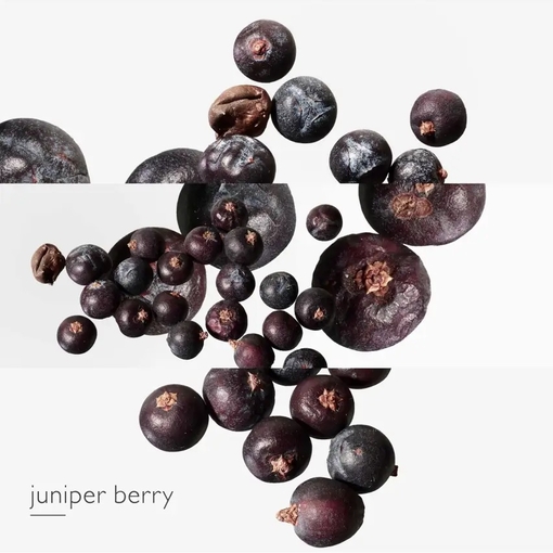 Product Eau Des Merveilles Bleue Eau De Toilette 50ml base image