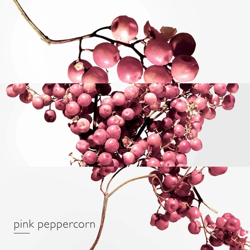 Product Twilly d'Hermès Eau Poivrée Eau De Parfum 50ml base image