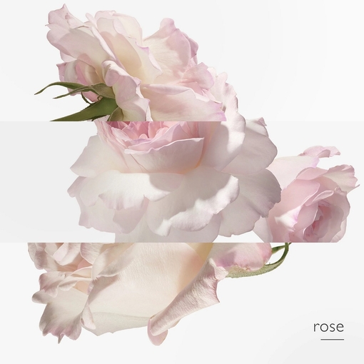 Product Twilly d'Hermès Eau Poivrée Eau De Parfum 50ml base image