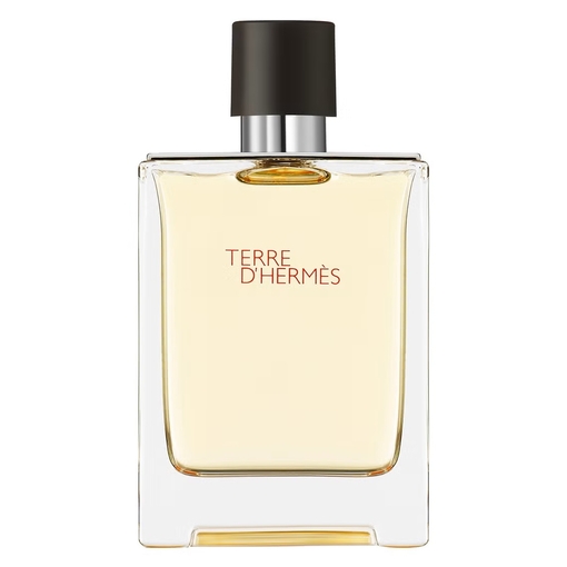 Product Terre d'Hermès Eau De Toilette 100ml base image