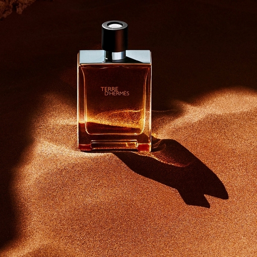 Product Terre d'Hermès Eau De Toilette 50ml base image