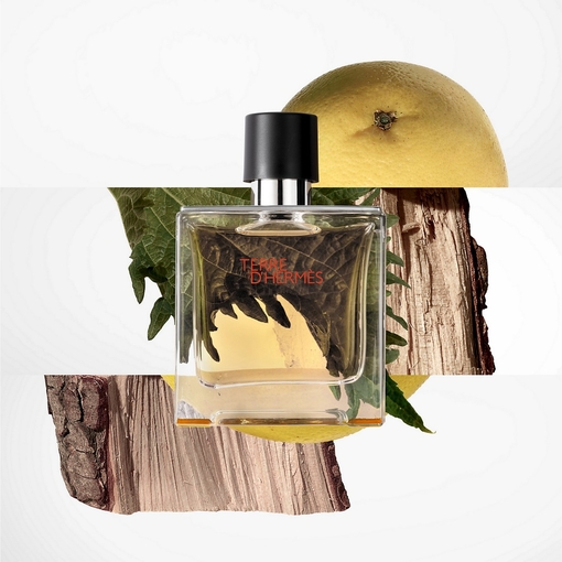 Product Terre d'Hermès Parfum Refill 125ml base image