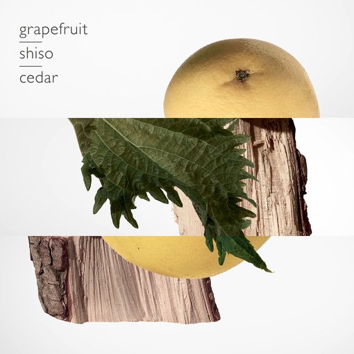 Product Terre d'Hermès Parfum Refill 125ml base image