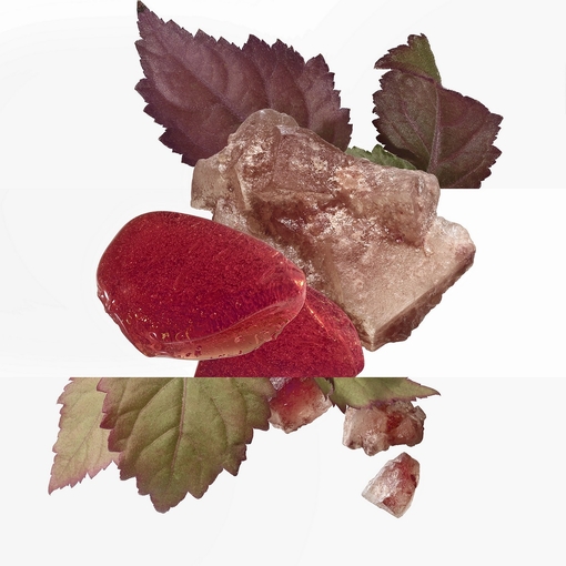 Product L'Ambre Des Merveilles Eau De Parfum 100ml base image