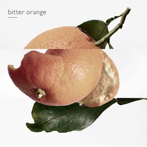 Product Eau Des Merveilles Eau De Toilette - Refillable 100ml base image