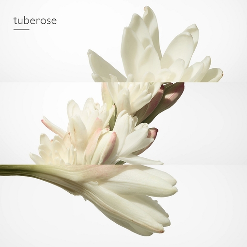 Product Twilly d'Hermès Eau De Parfum 85ml base image