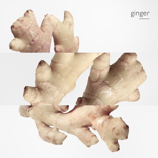 Product Twilly d'Hermès Eau De Parfum 85ml base image