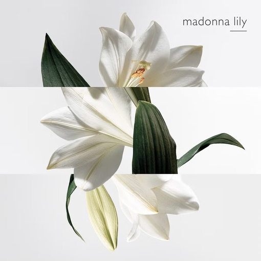 Product Un Jardin Sur La Lagune Perfumed Soap 100g base image