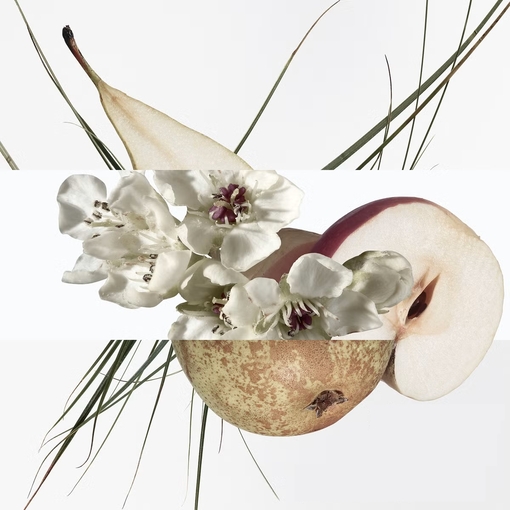 Product Un Jardin Sur Le Toit Perfumed Soap 100g base image