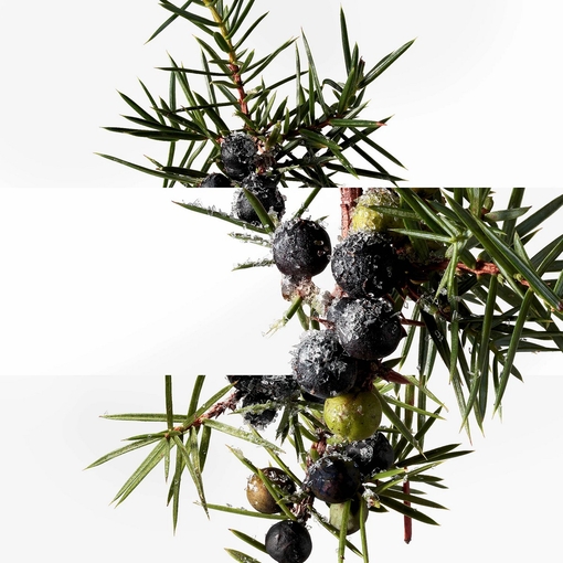 Product Terre d'Hermès Eau Givrée Eau De Parfum - Refillable 50ml base image