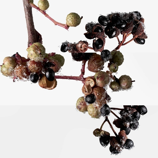 Product Terre d'Hermès Eau Givrée Eau De Parfum - Refillable 50ml base image