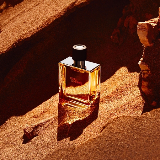 Product Terre d'Hermès Parfum 75ml base image