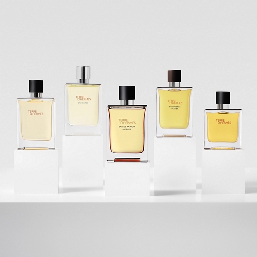 Product Terre d'Hermès Parfum 75ml base image