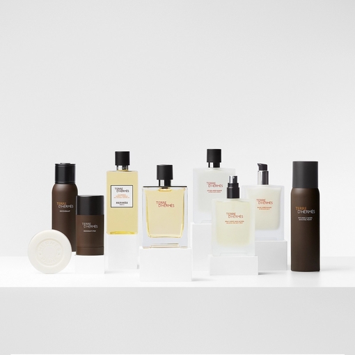 Product Terre d'Hermès Parfum 75ml base image