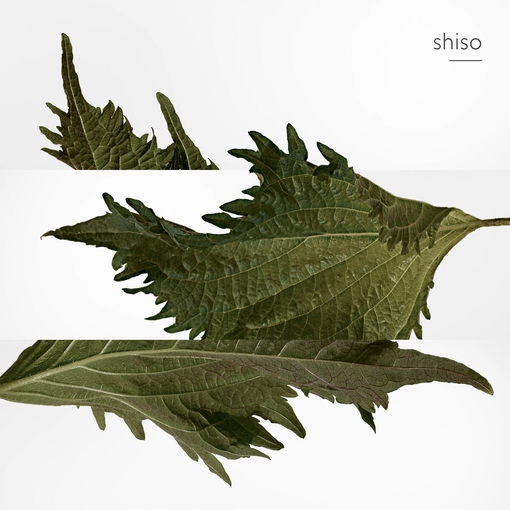 Product Terre d’Hermès Parfum 200ml base image