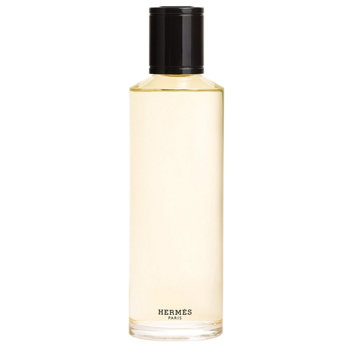 Product Terre d'Hermès Eau De Parfum Intense Refill 200ml base image