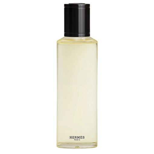 Product Terre d'Hermès Eau Givrée Eau De Parfum - Refill 200ml base image