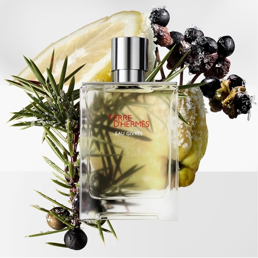 Product Terre d'Hermès Eau Givrée Eau De Parfum - Refill 200ml base image