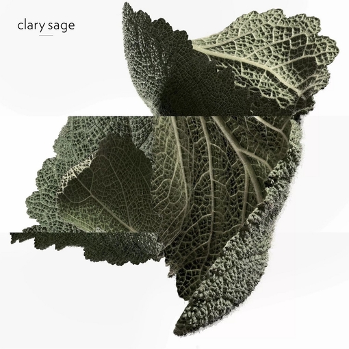 Product H24 Eau De Parfum - Refill 200ml base image