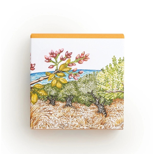 Product Un Jardin à Cythère Perfumed Soap 100g base image