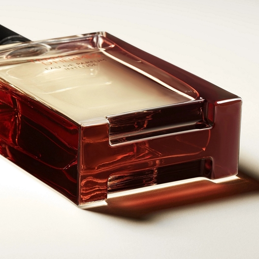 Product Terre d'Hermès Eau De Parfum Intense 50ml base image
