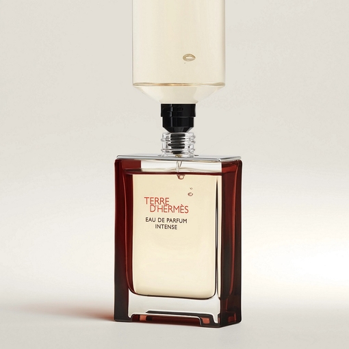 Product Terre d'Hermès Eau De Parfum Intense 50ml base image