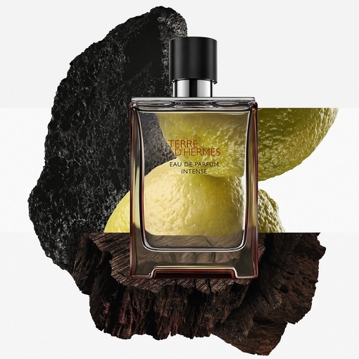 Product Terre d'Hermès Eau De Parfum Intense 50ml base image