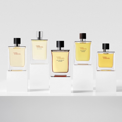Product Terre d'Hermès Eau De Parfum Intense 50ml base image