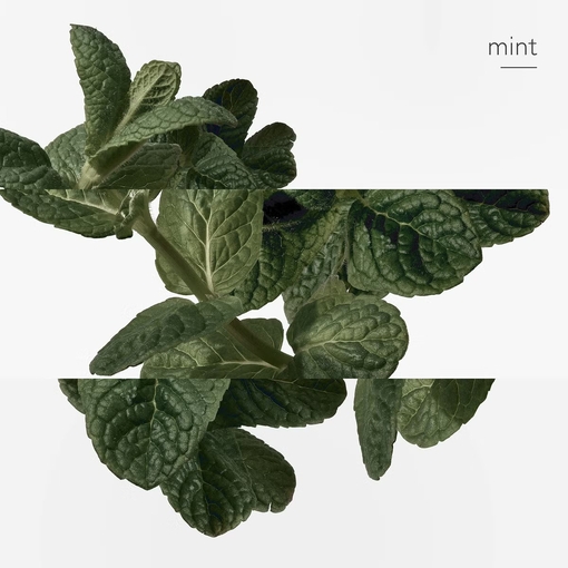 Product Eau d'Orange Verte Deodorant Spray 150ml base image