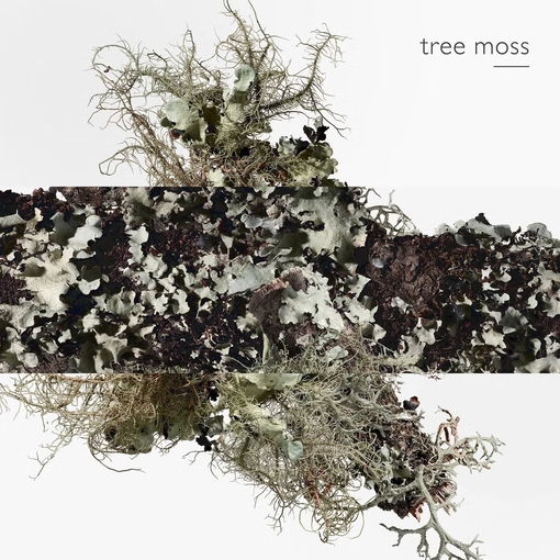 Product Eau d'Orange Verte Deodorant Spray 150ml base image