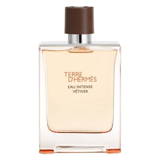 Product Terre d'Hermès Eau Intense Vétiver Eau De Parfum 100ml base image