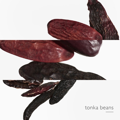 Product L'Ombre Des Merveilles Eau De Parfum 50ml base image