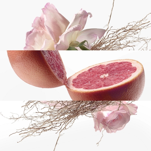 Product Concentré De Pamplemousse Rose Eau De Toilette 100ml base image