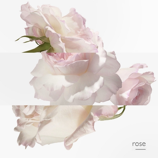 Product Concentré De Pamplemousse Rose Eau De Toilette 100ml base image