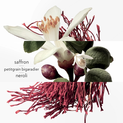 Product Eau De Néroli Doré Eau De Cologne 100ml base image