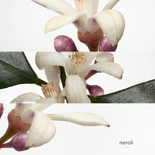 Product Eau De Néroli Doré Eau De Cologne 100ml base image